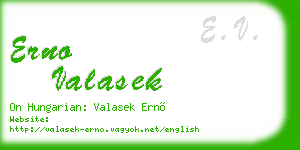 erno valasek business card