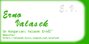 erno valasek business card